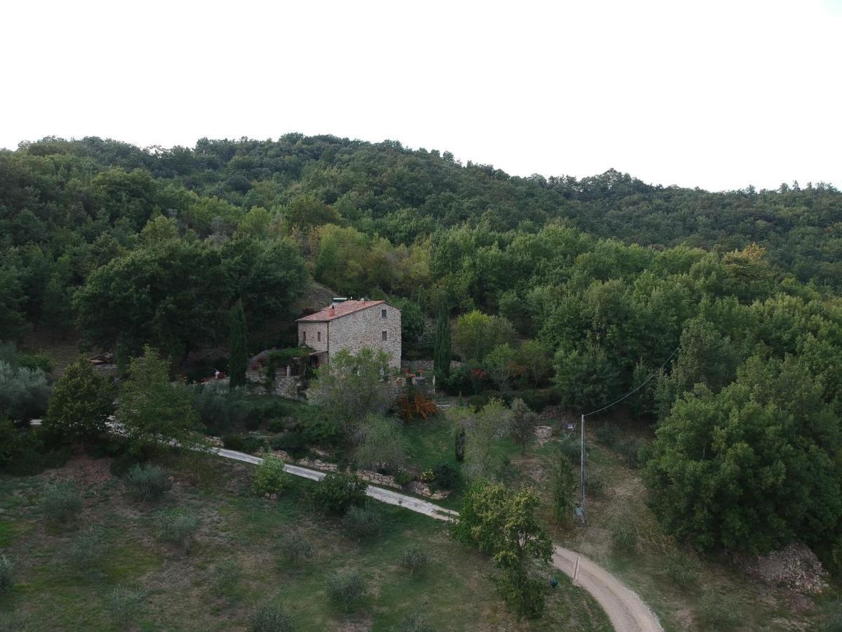 Podere Piandicava Castelnuovo di Val di Cecina Exterior photo